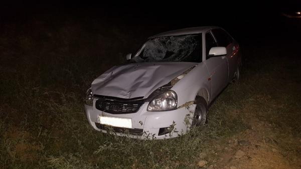 Огромный бык спровоцировал аварию с погибшими на Ставрополье